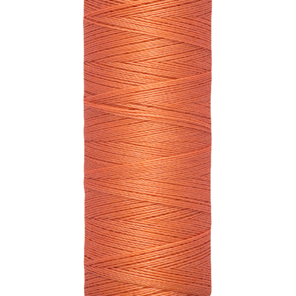 GUTERMAN SYTRÅD 200 M FG 0895